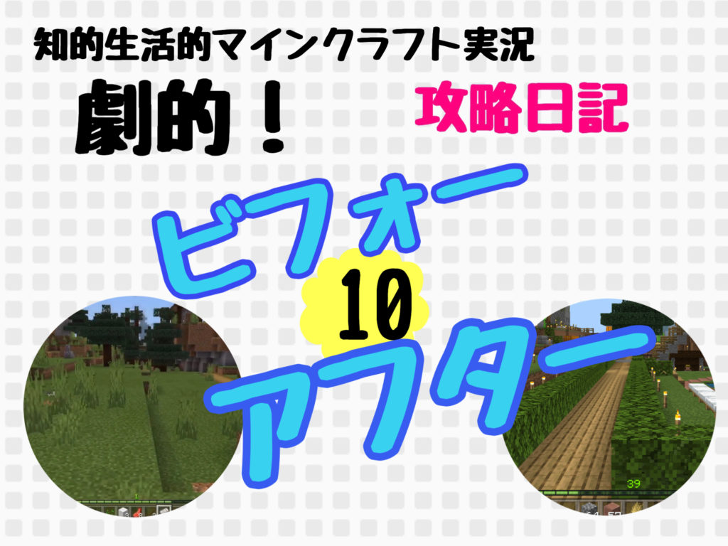 村の変貌 みんな大好きビフォーアフター 知的生活的マイクラ攻略日記